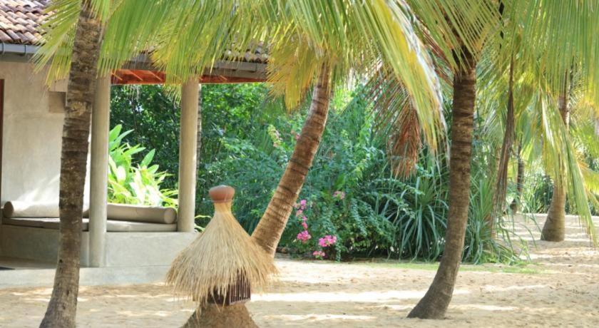 Mangrove Beach Chalets แทนกาลเล ภายนอก รูปภาพ
